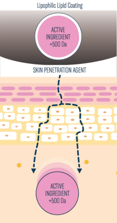 lipophilic coating image